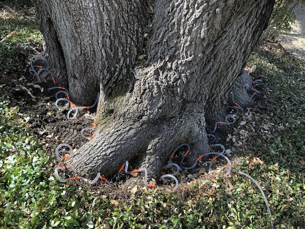 Detailed Shrub and Hedge Trimming job site in Lake Village