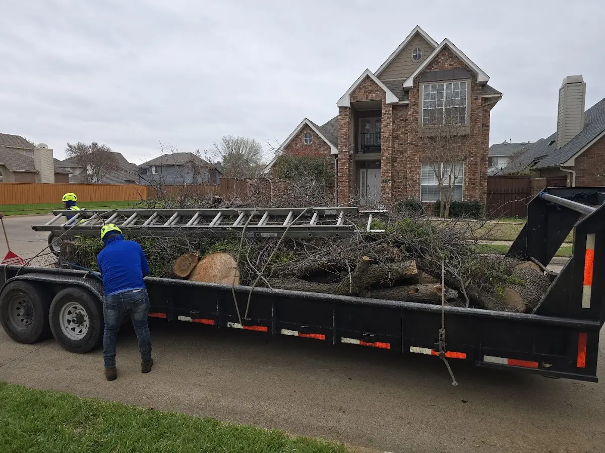 Expert Tree Removal with proper safety equipment in Lake Village